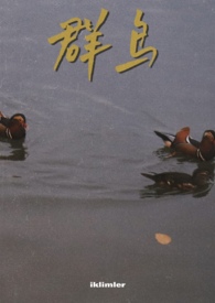 群鸟飞过湖面动静结合